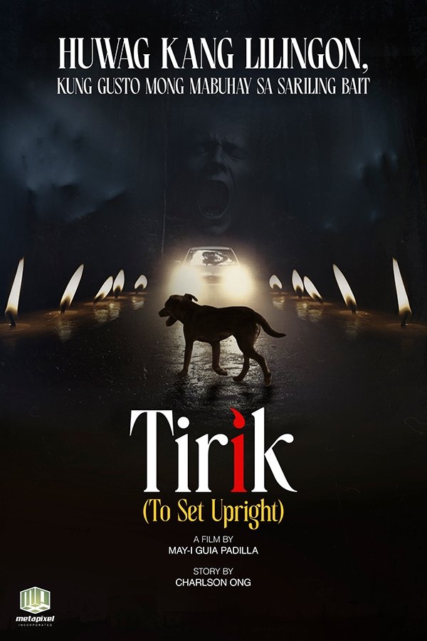 Poster de Tirik