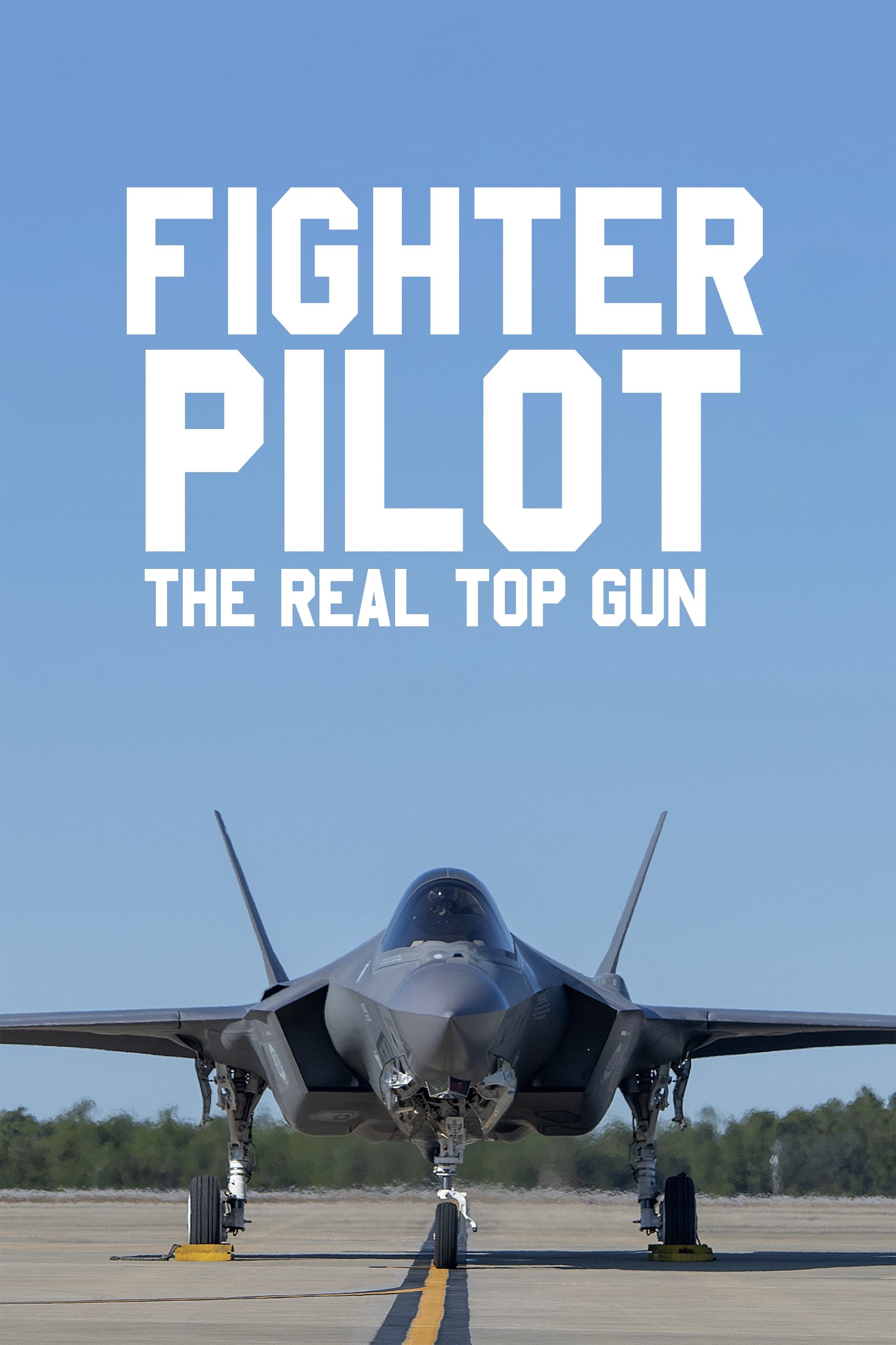 Poster de Fighter Pilot: The Real Top Gun
