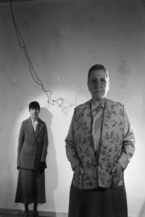 Poster de Gertrude Stein and a Companion!