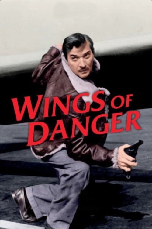 Poster de Wings of Danger