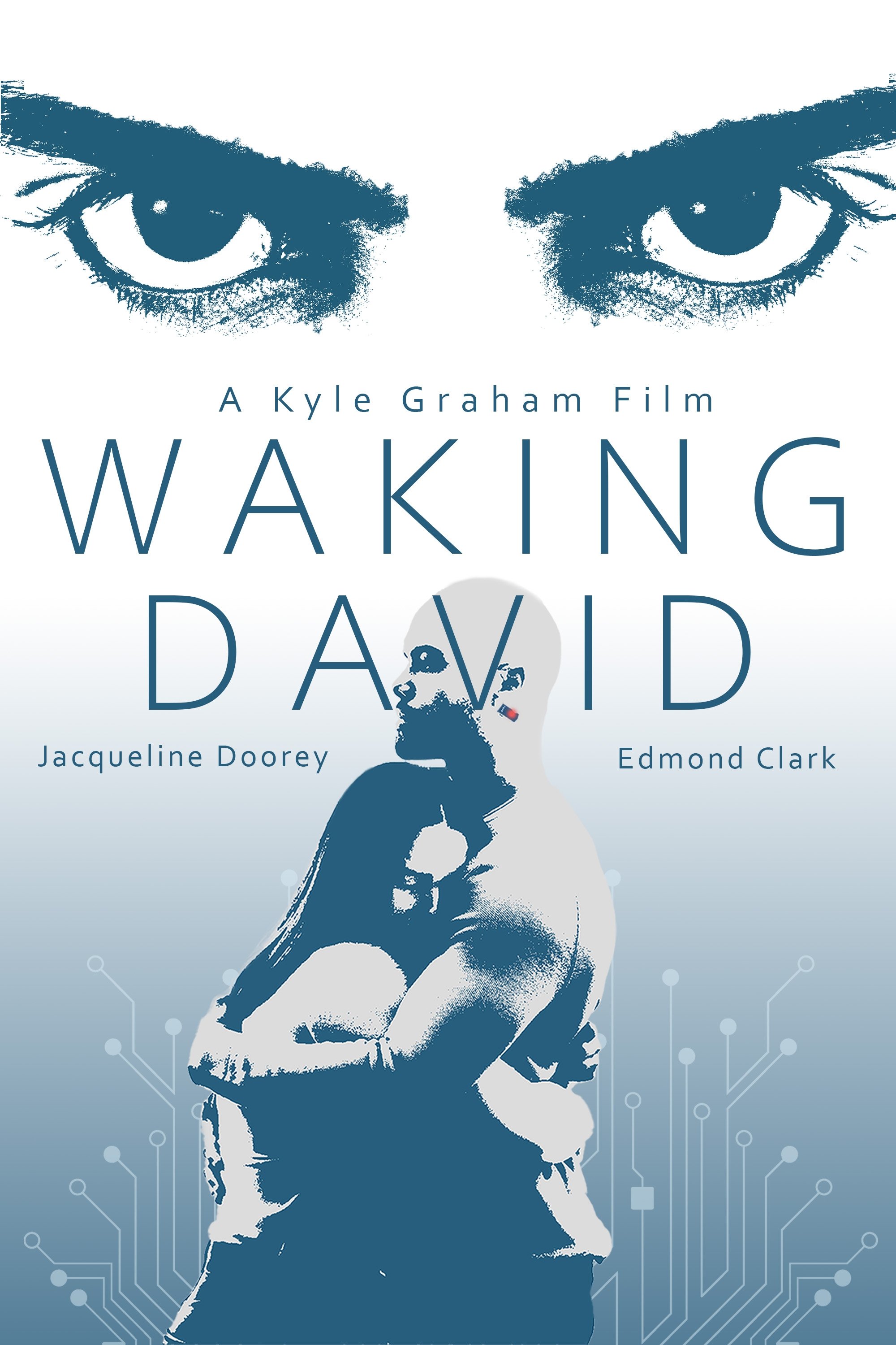 Poster de Waking David