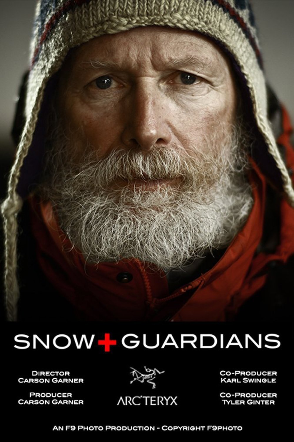 Poster de Snow Guardians