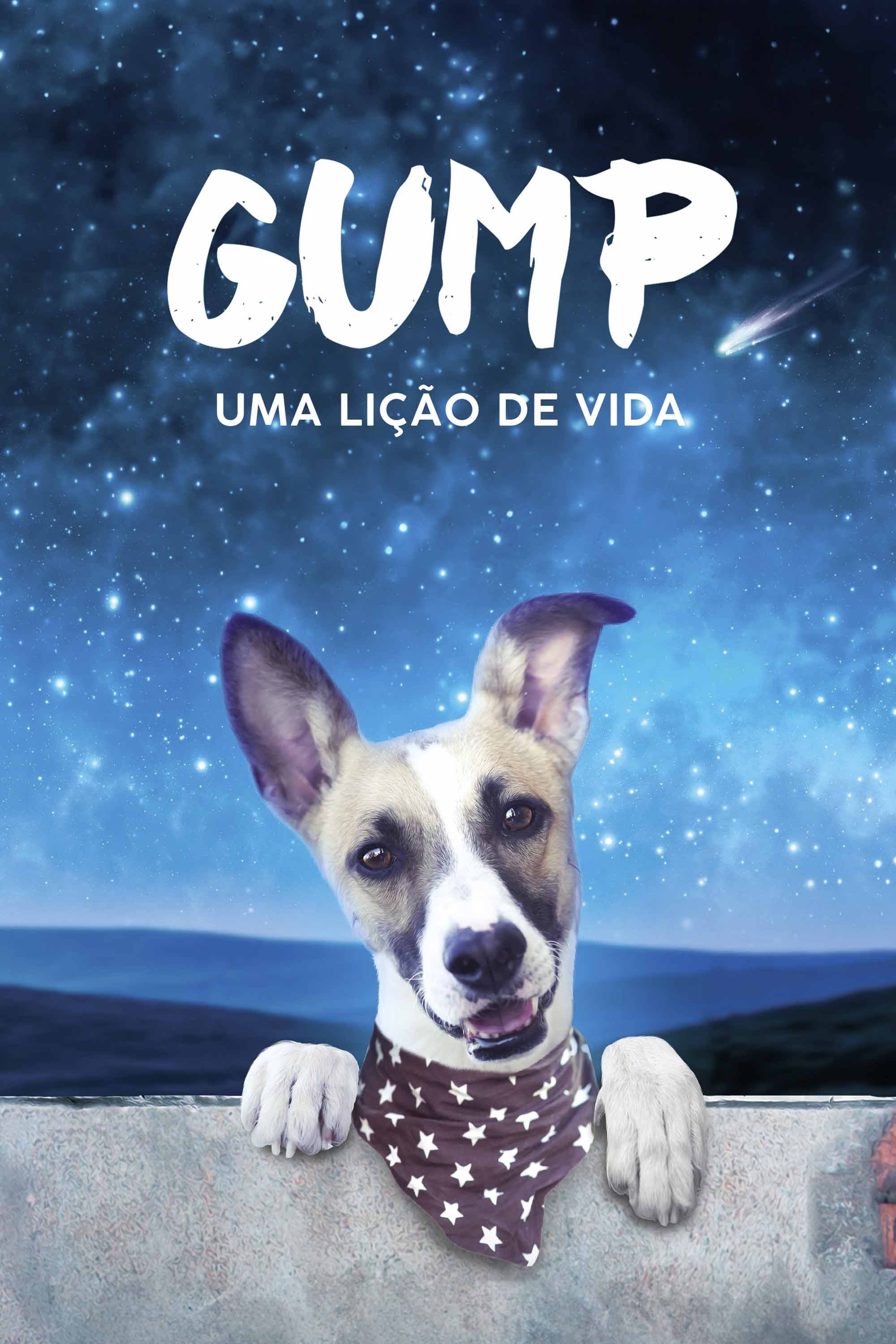 Poster de Gump: Uma Lição de Vida