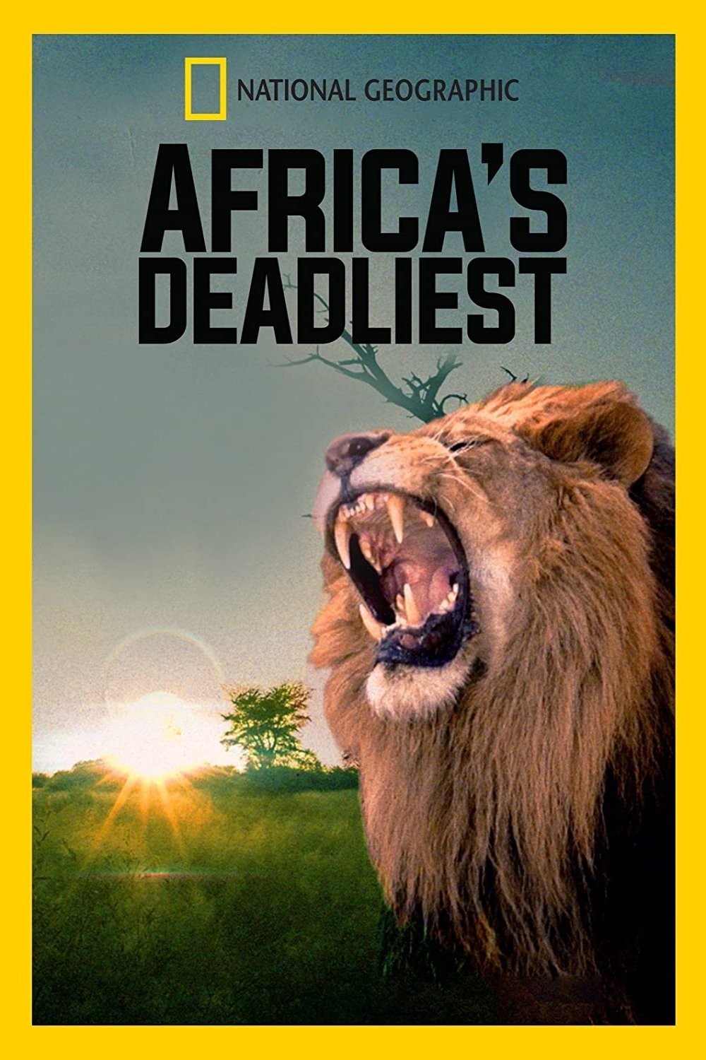 Poster de África: Reino Mortal