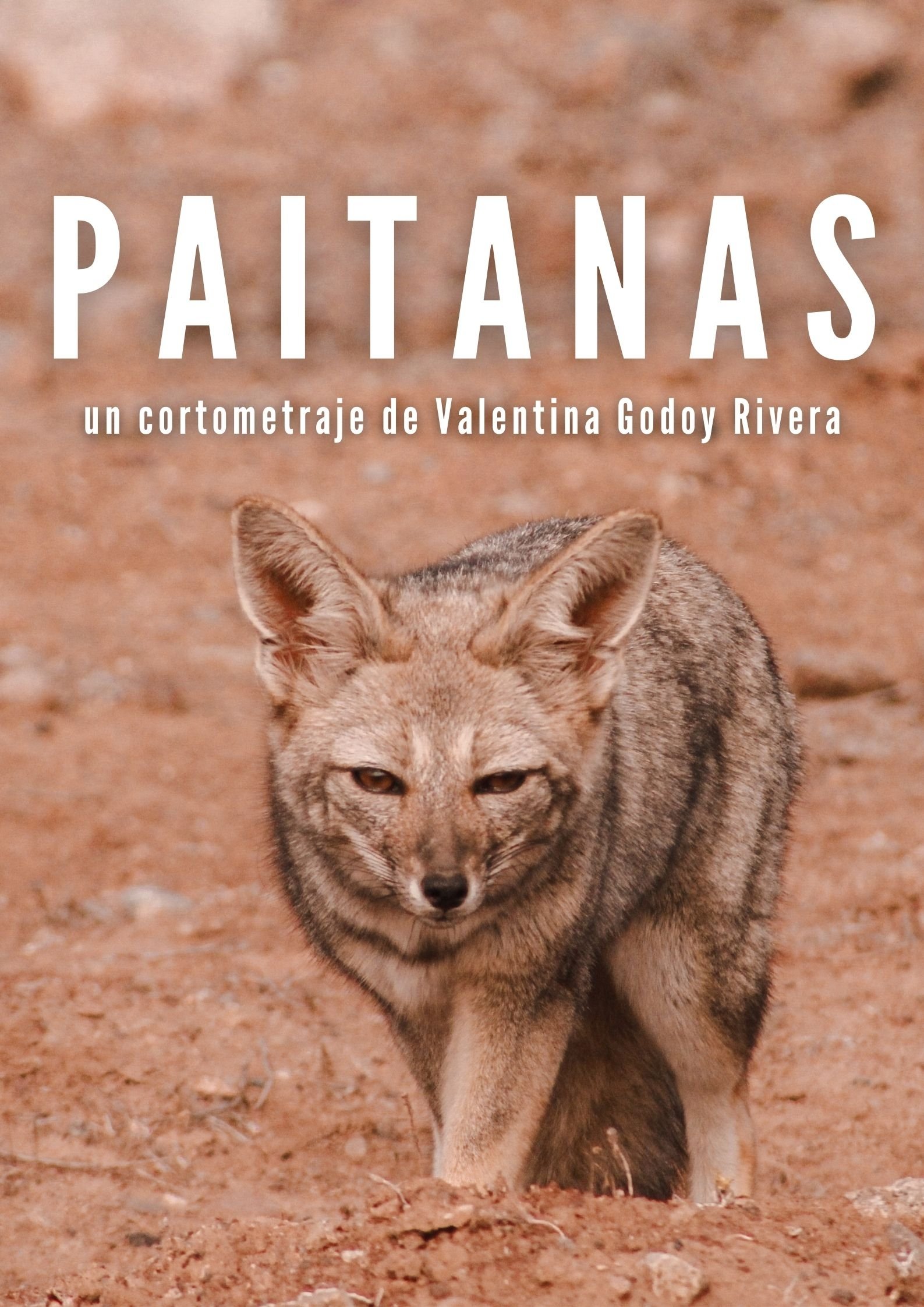 Poster de Paitanas