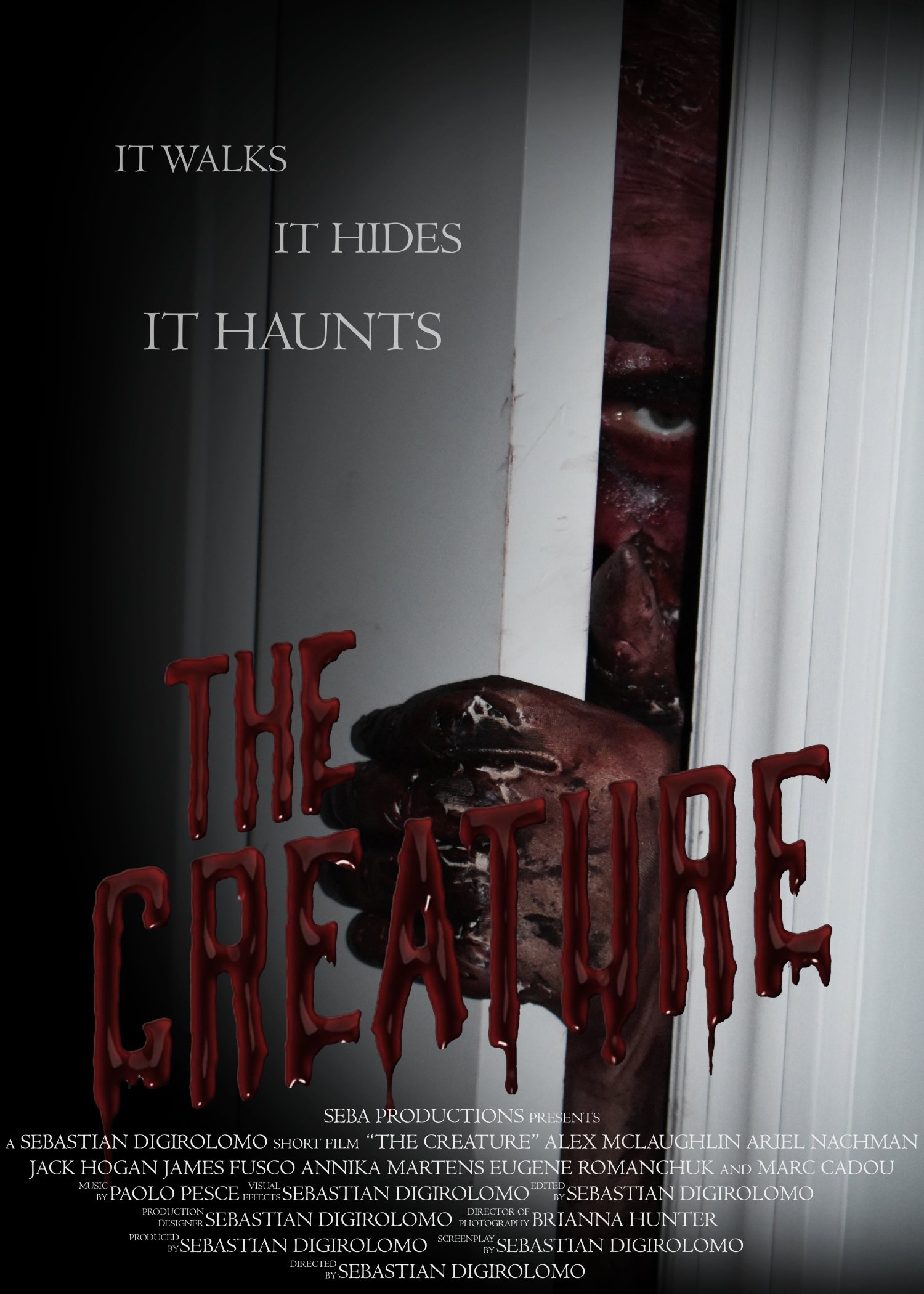 Poster de The Creature