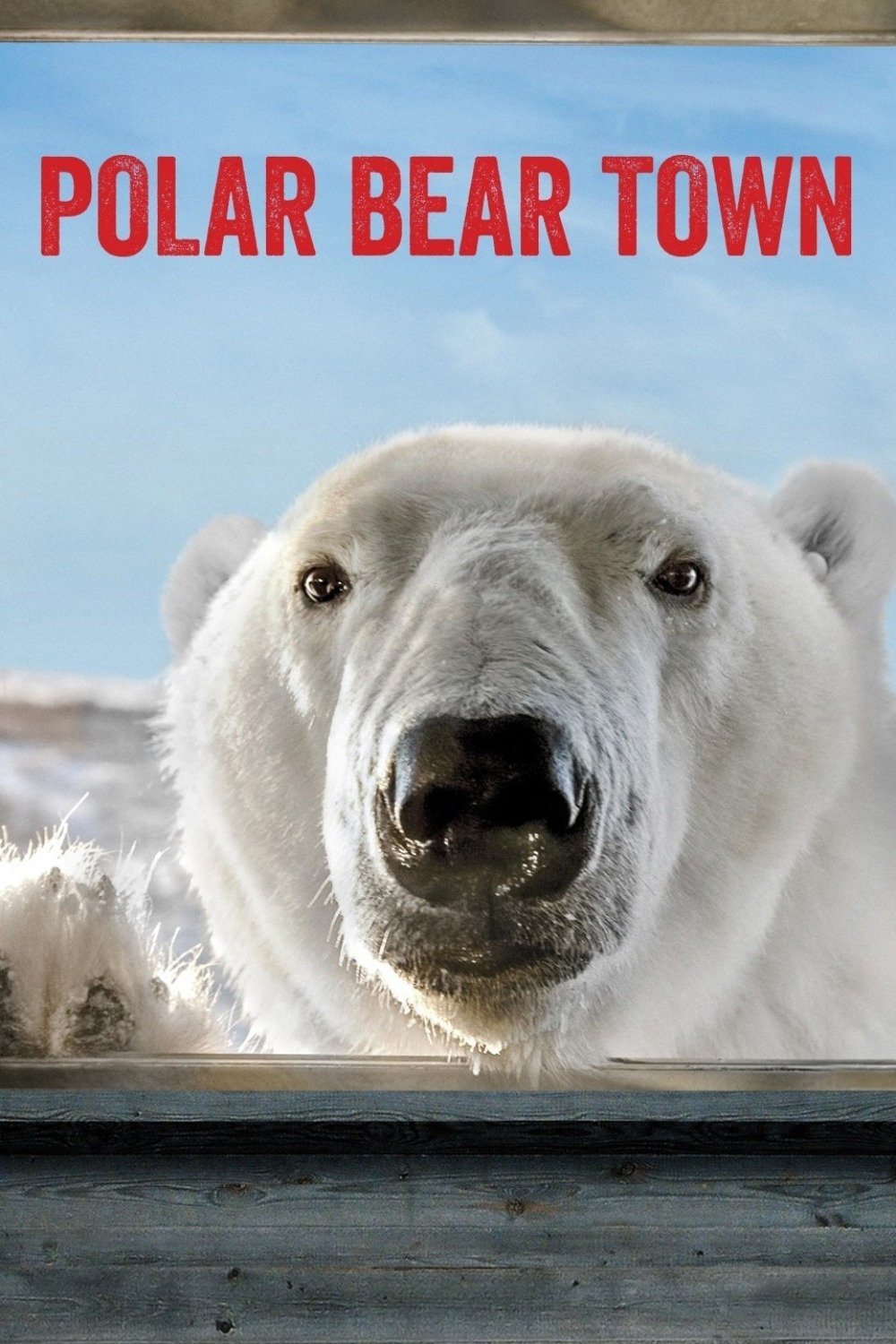 Poster de Polar Bear Town