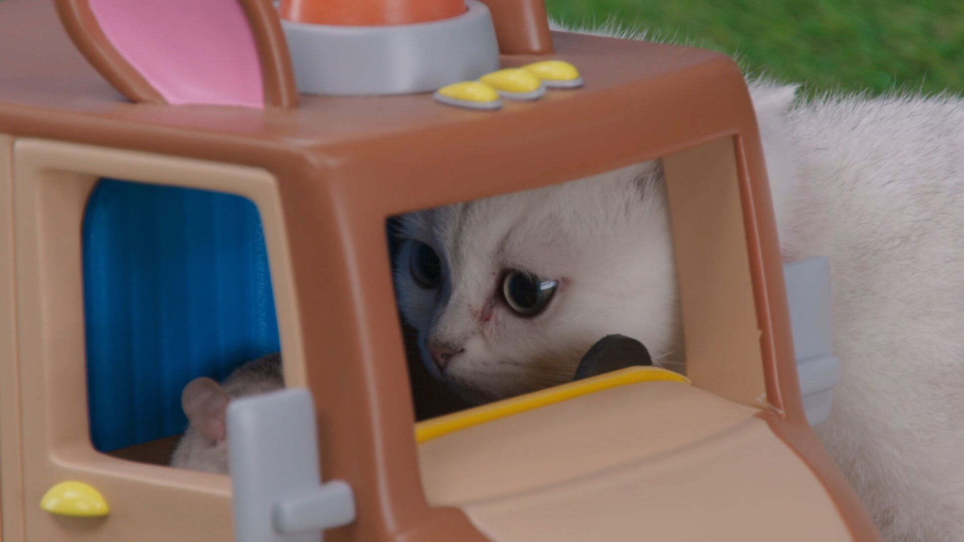 Happy Birthday Winkles