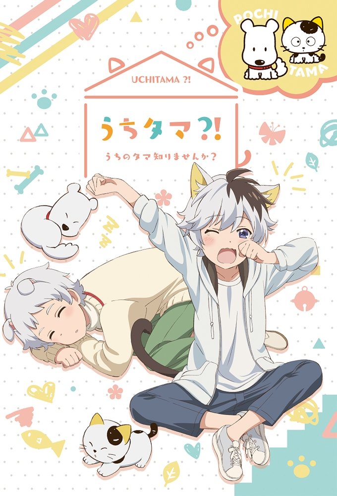 Poster de Uchi Tama?! Uchi no Tama Shirimasen ka?