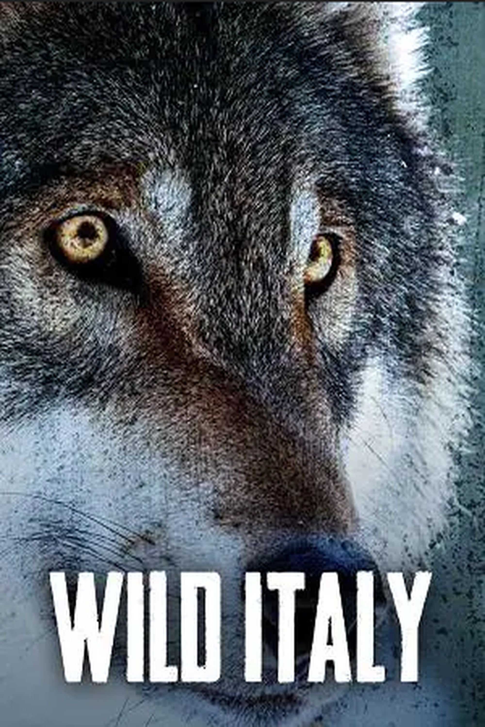 Poster de Temporada 2