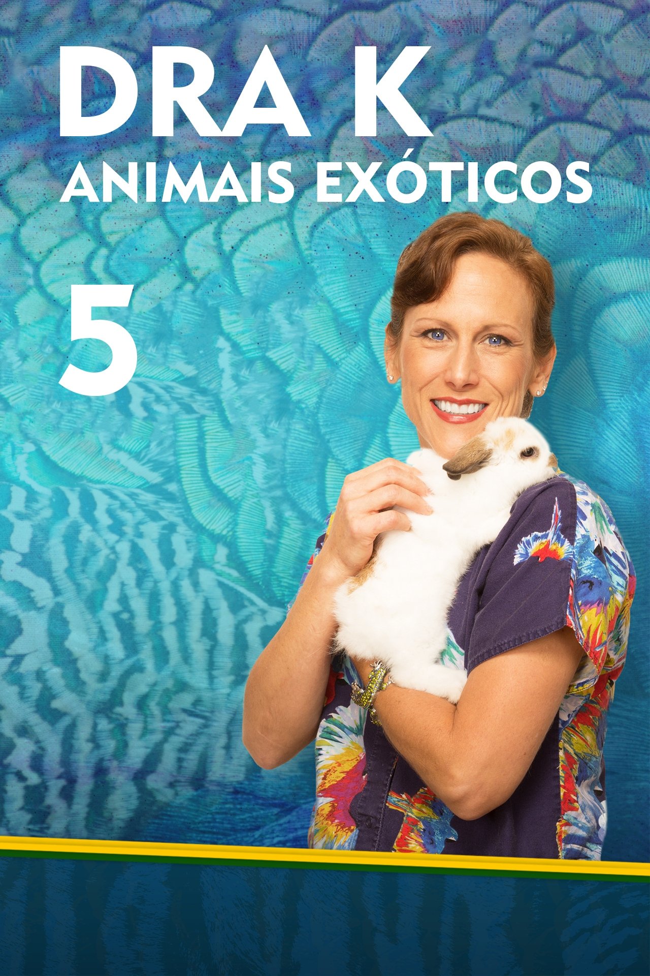Poster de Temporada 5