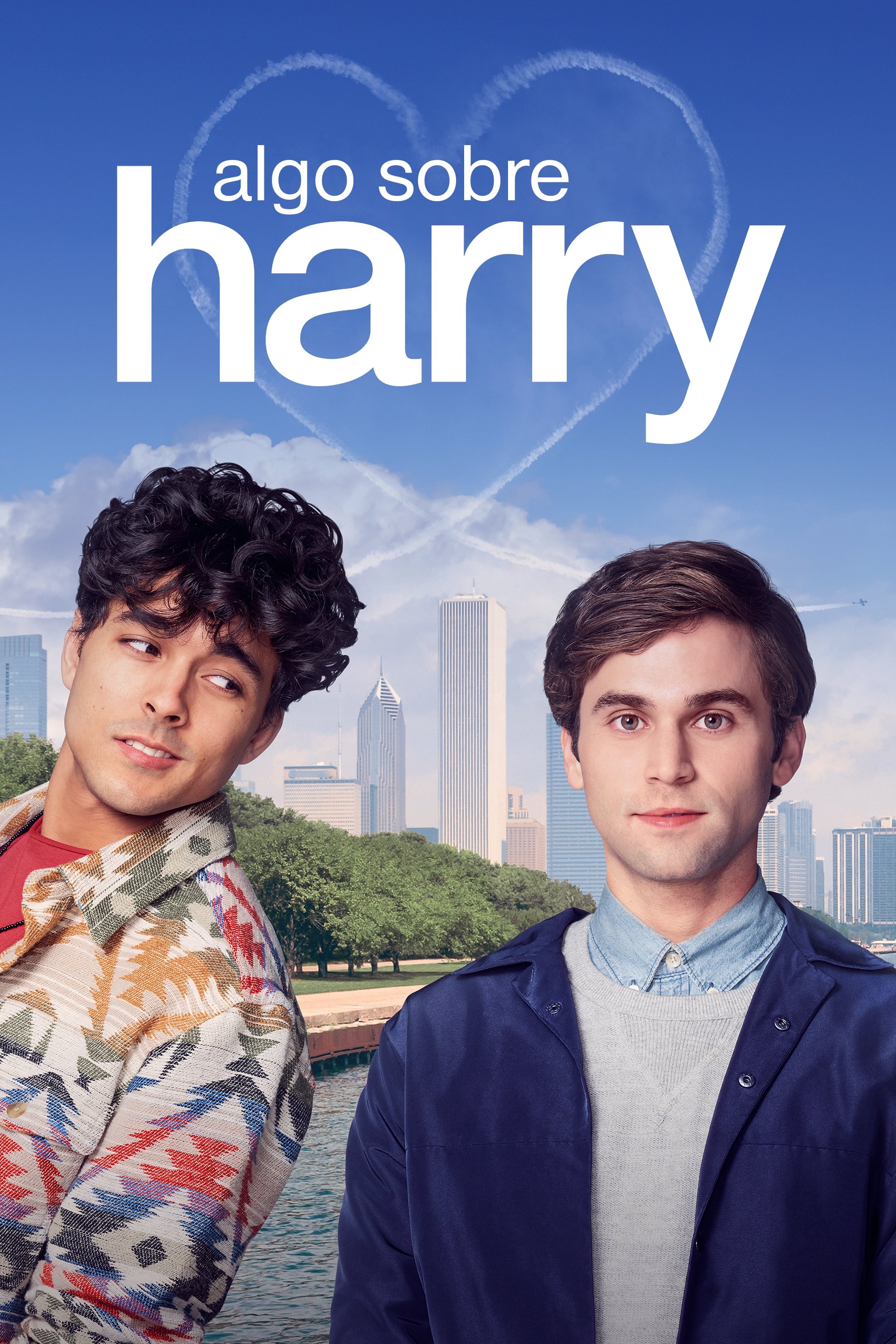 Poster de Algo Sobre Harry