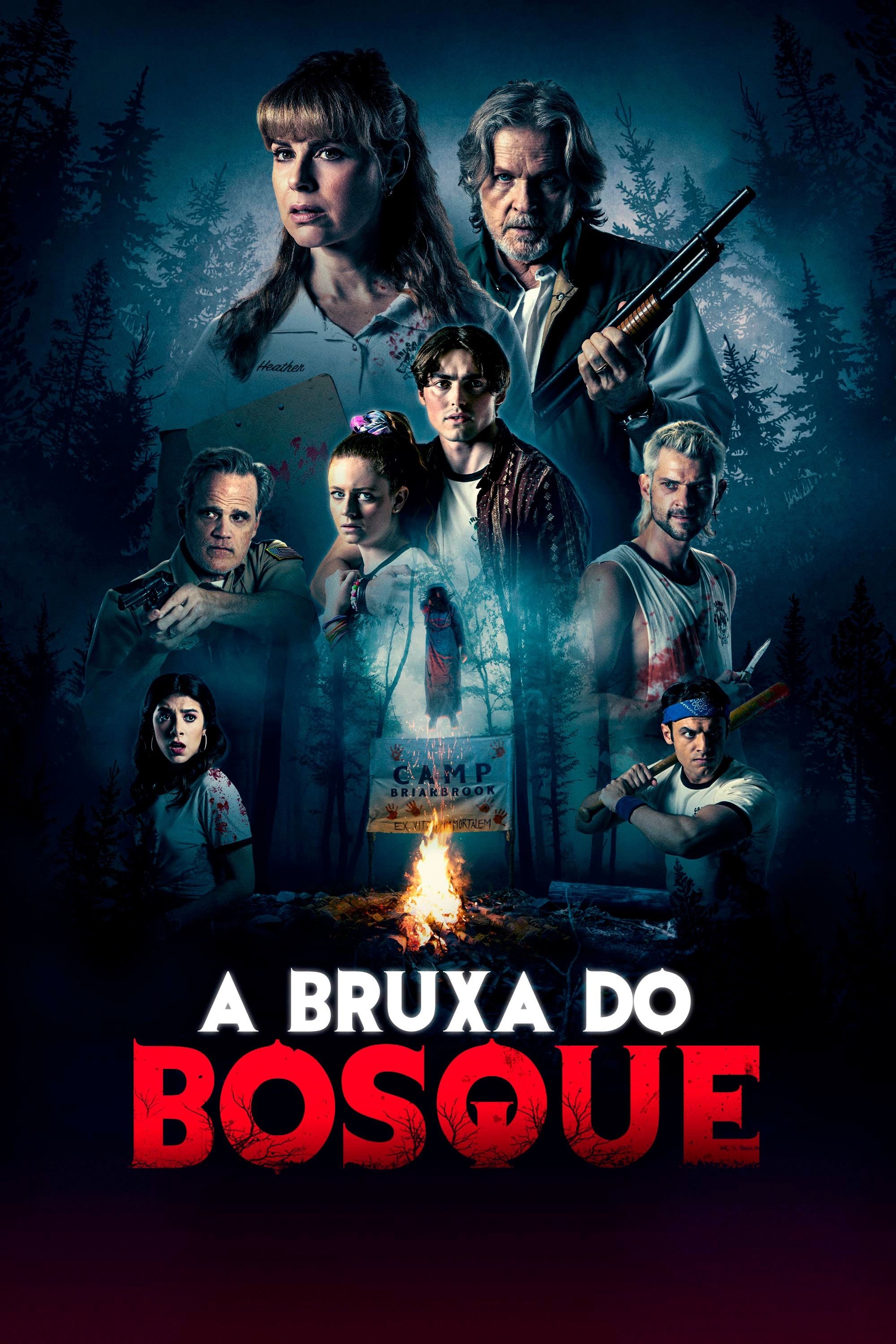 Poster de A Bruxa do Bosque