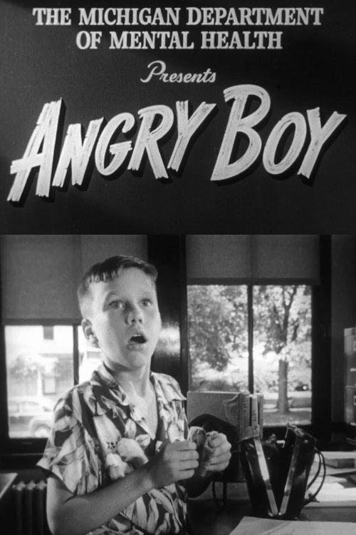 Poster de Angry Boy