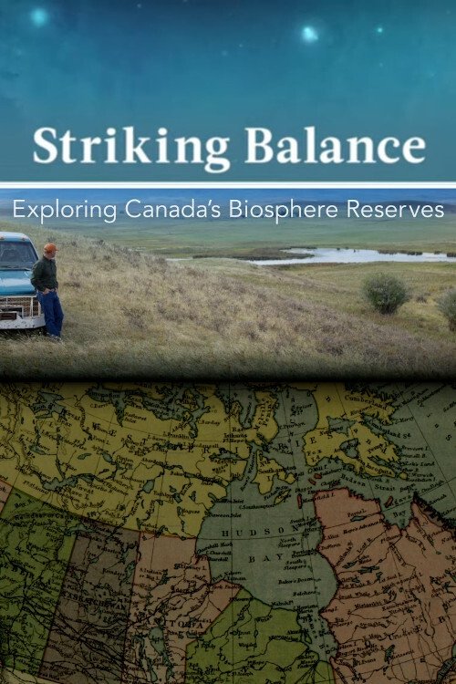 Poster de Striking Balance