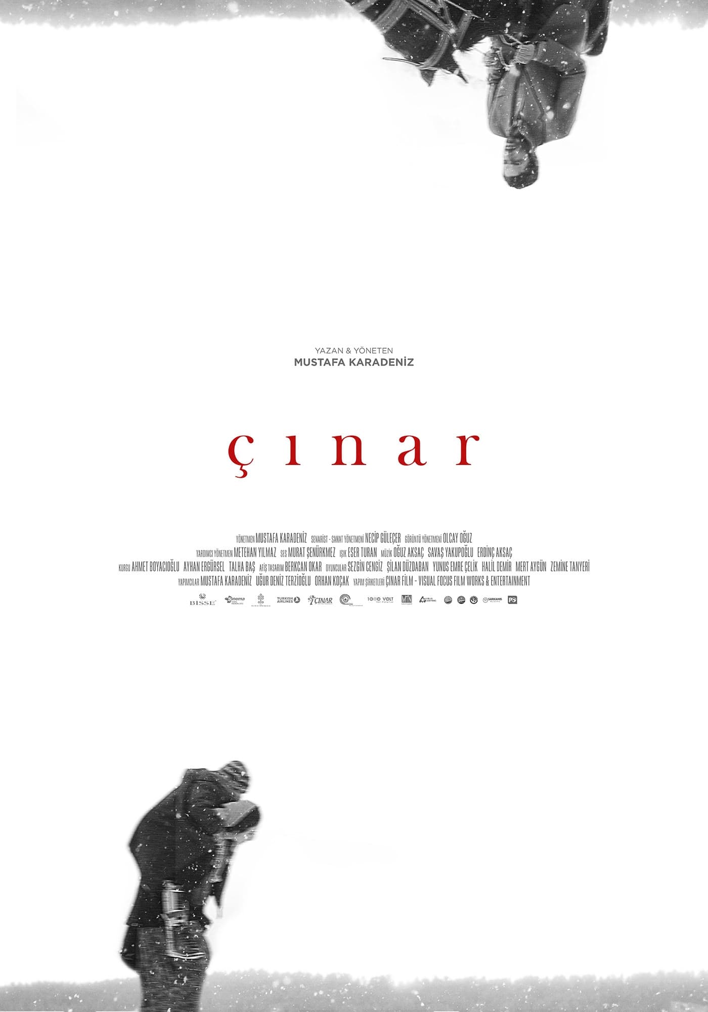Poster de Çınar