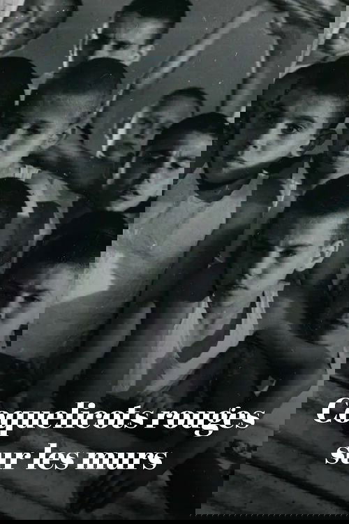 Coquelicots rouges sur les murs