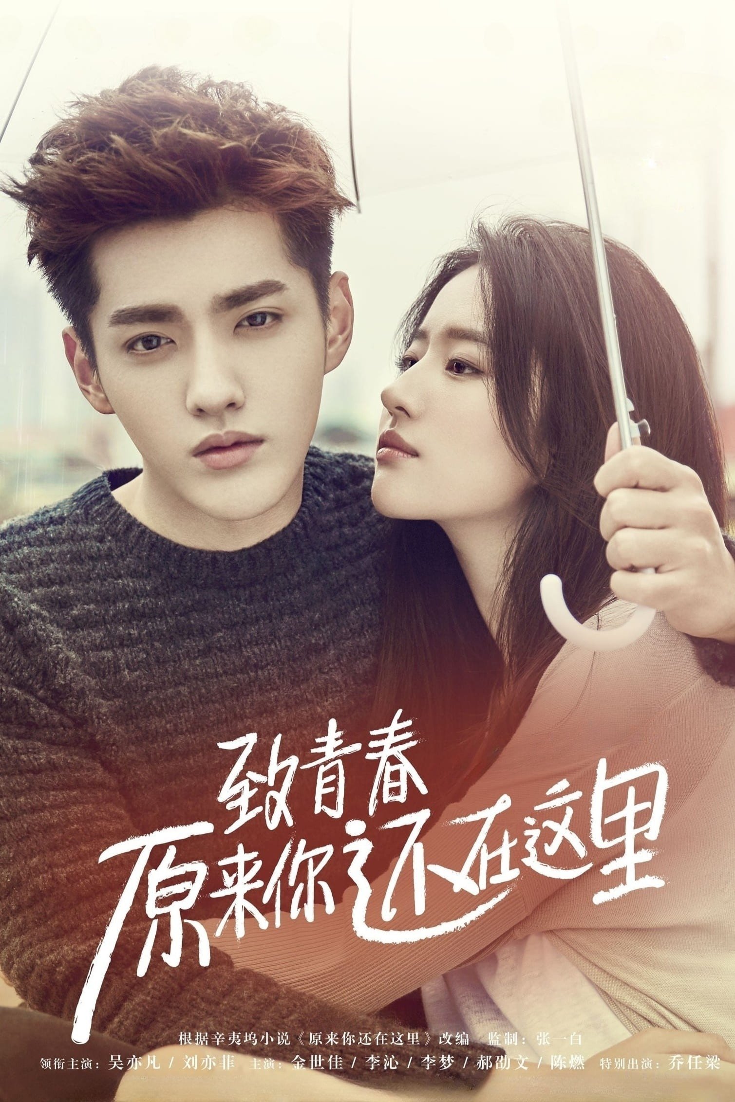Poster de 致青春·原来你还在这里