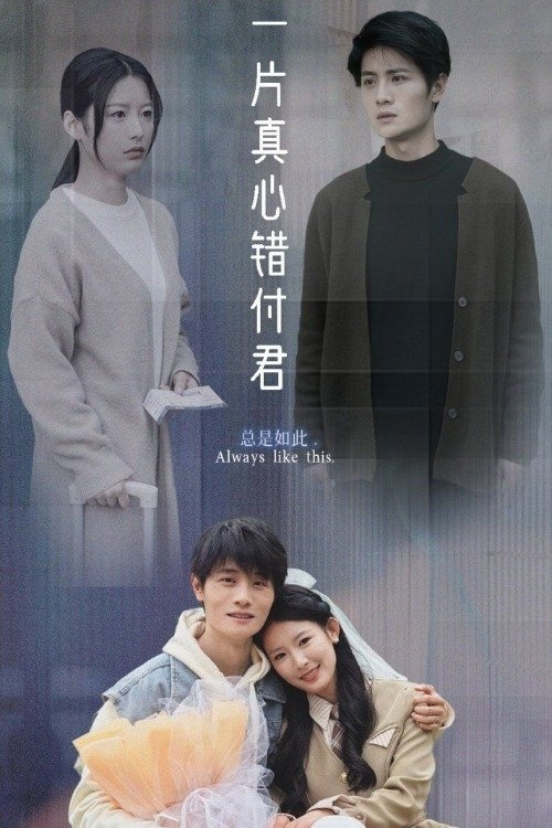 Poster de 一片真心错付君