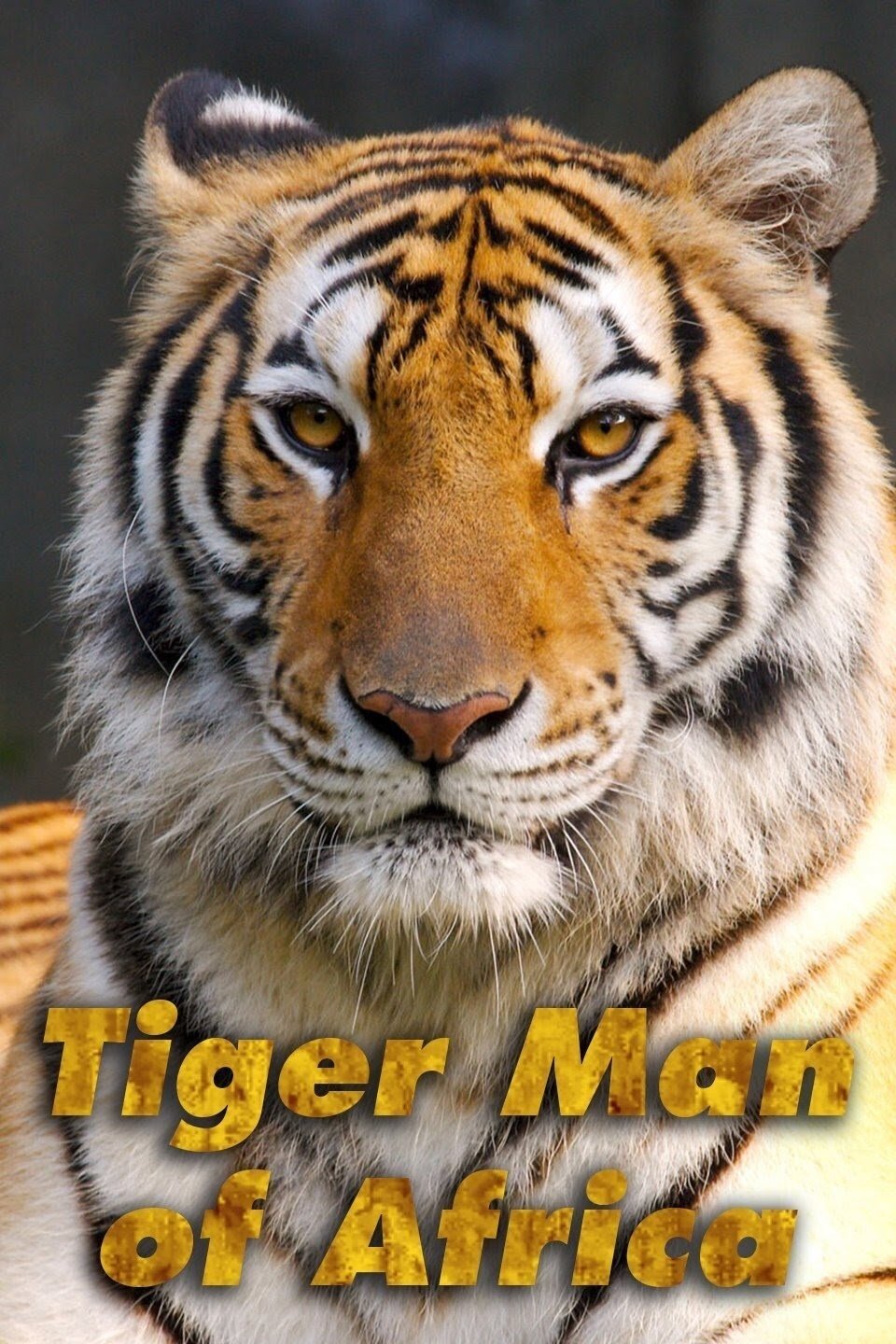 Poster de O Homem dos Tigres