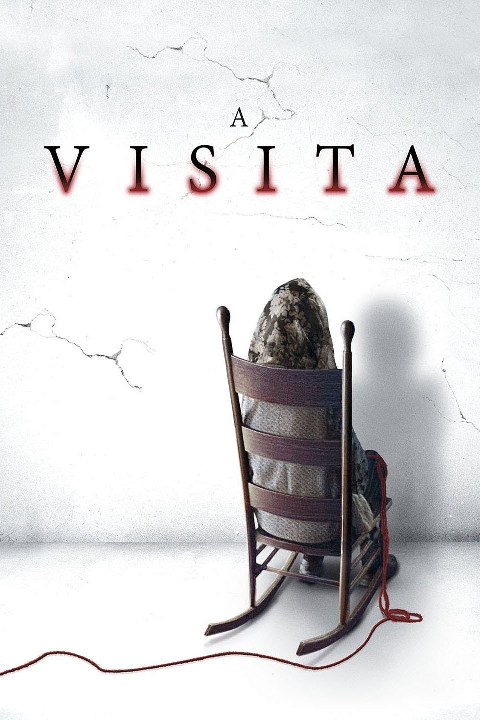 Poster de A Visita