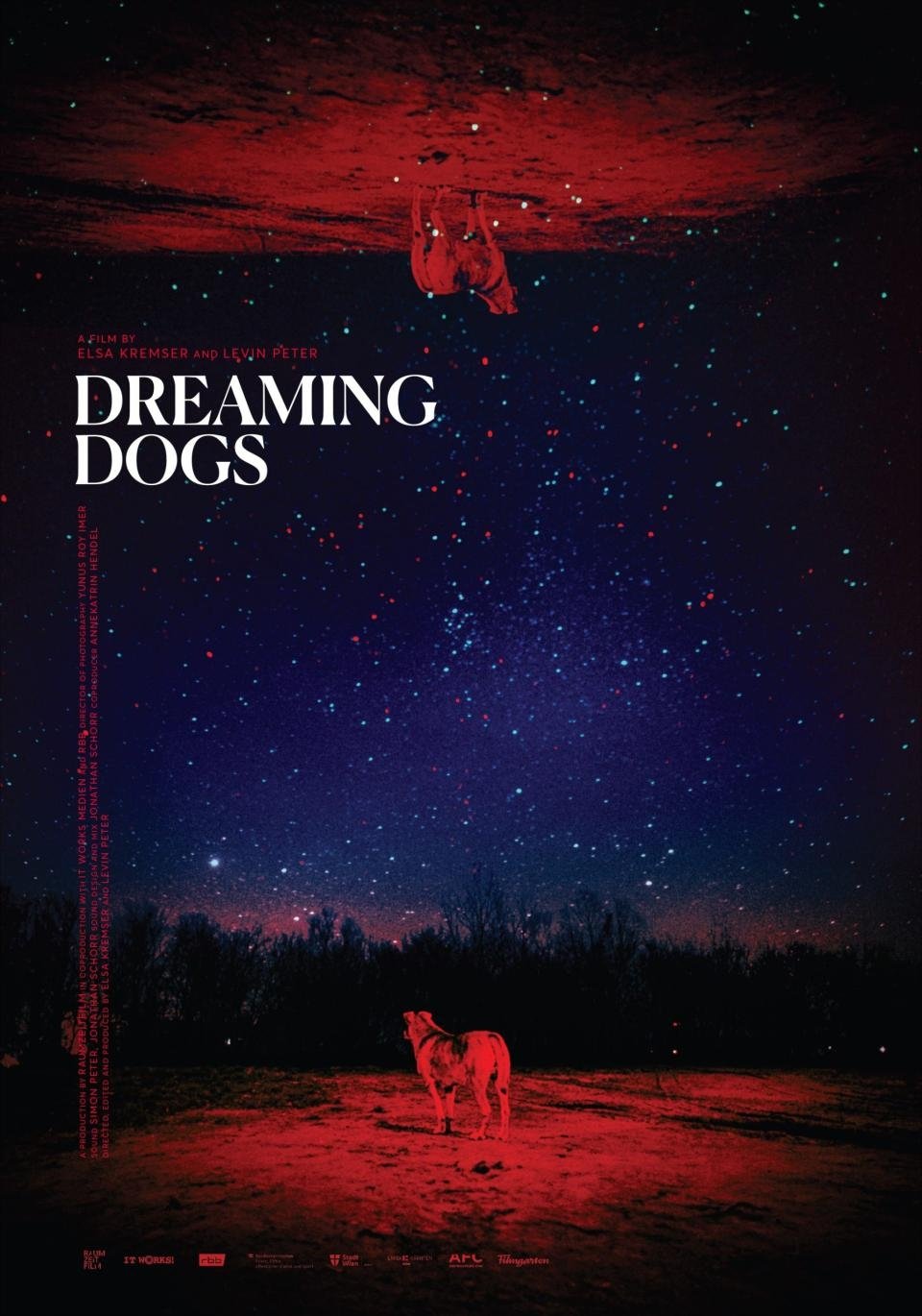 Poster de Dreaming Dogs