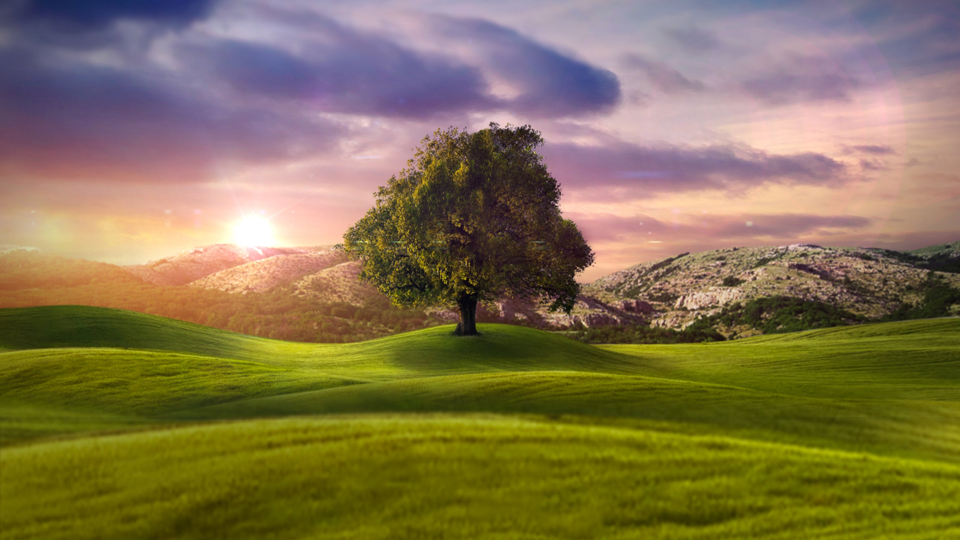 Backdrop image