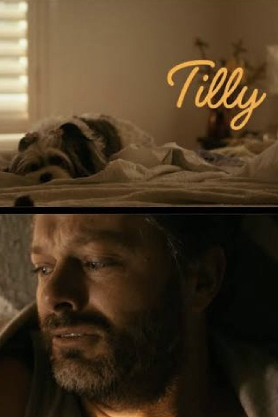 Poster de Tilly