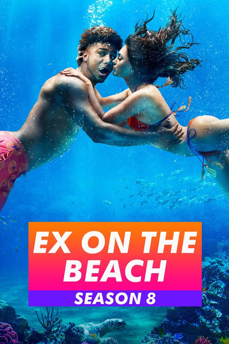 Poster de Temporada 8