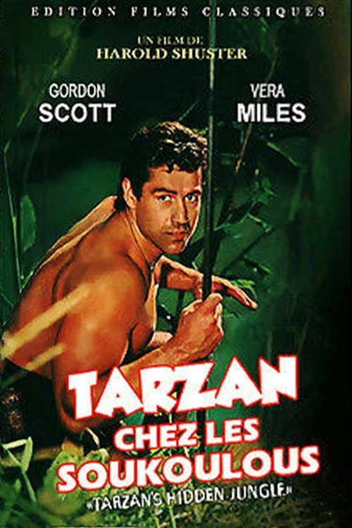 Affiche du film Tarzan chez les Soukoulous