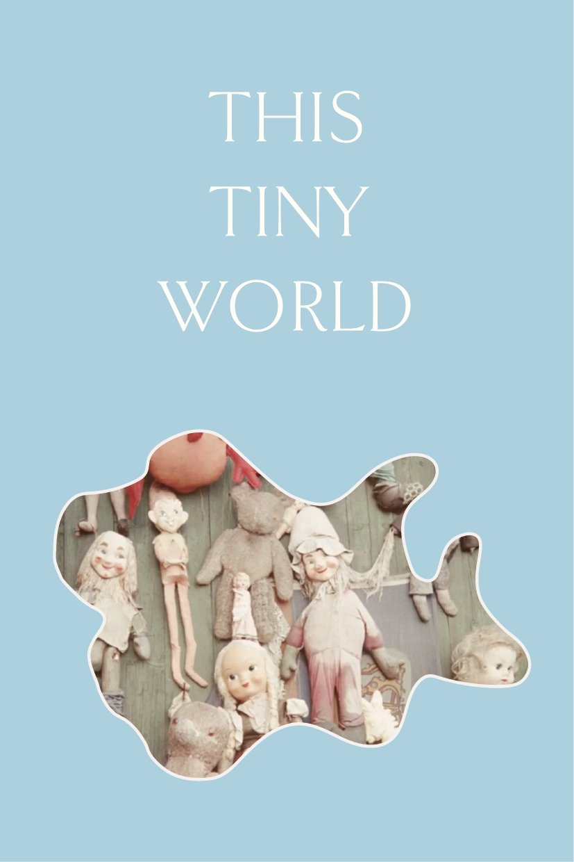 Poster de Deze kleine wereld