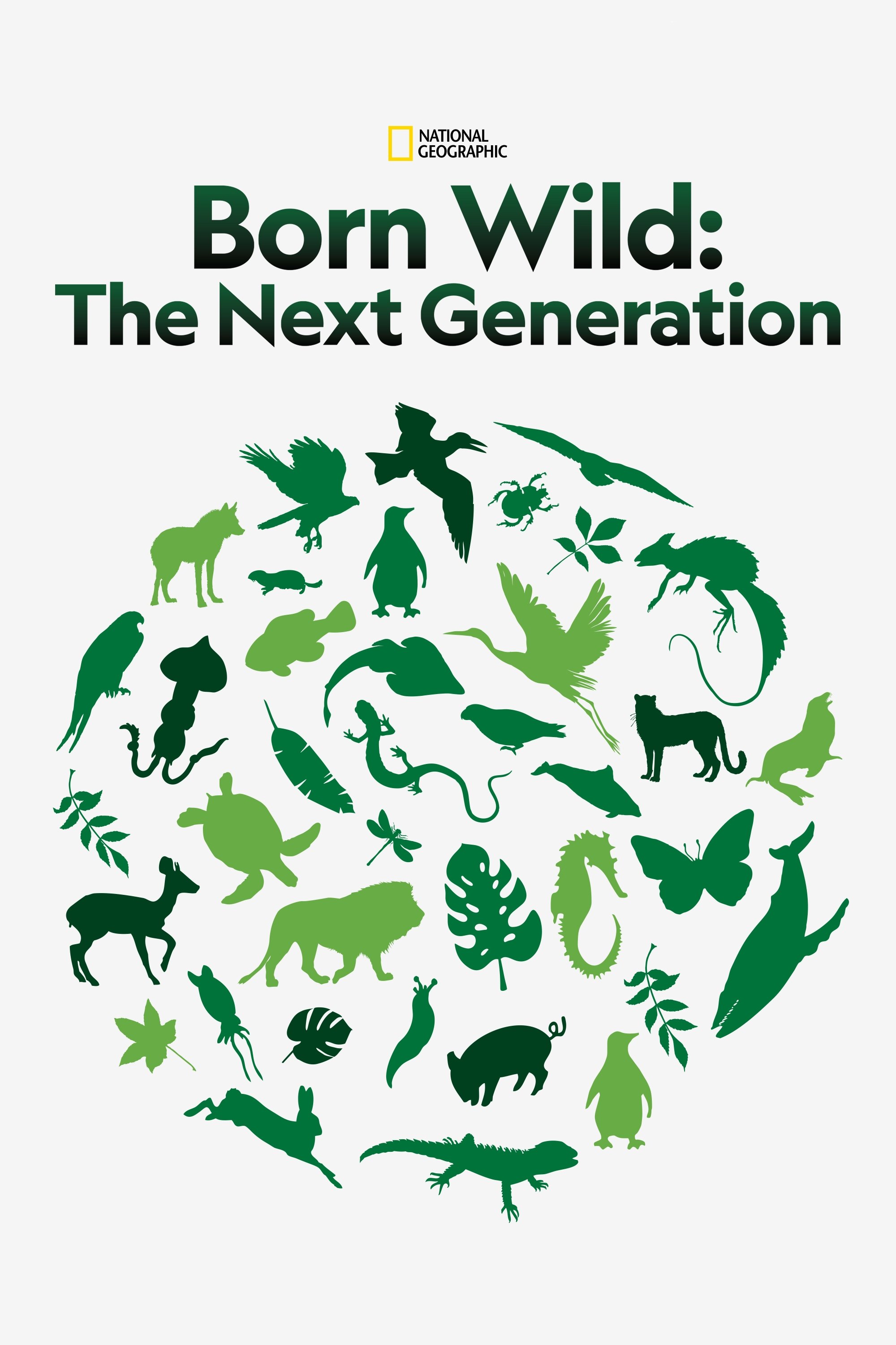 Poster de Born Wild: The Next Generation