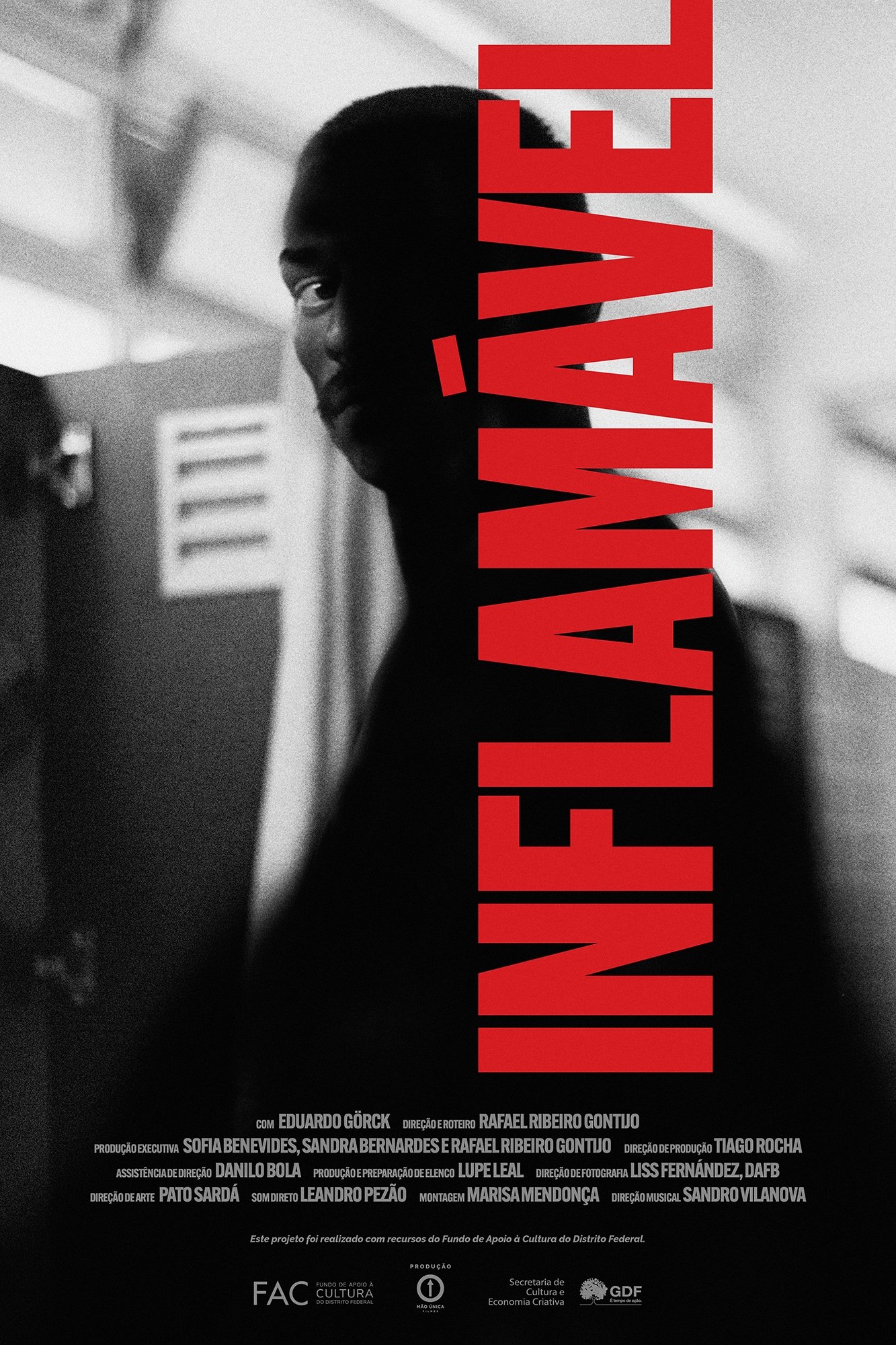Poster de Inflamável