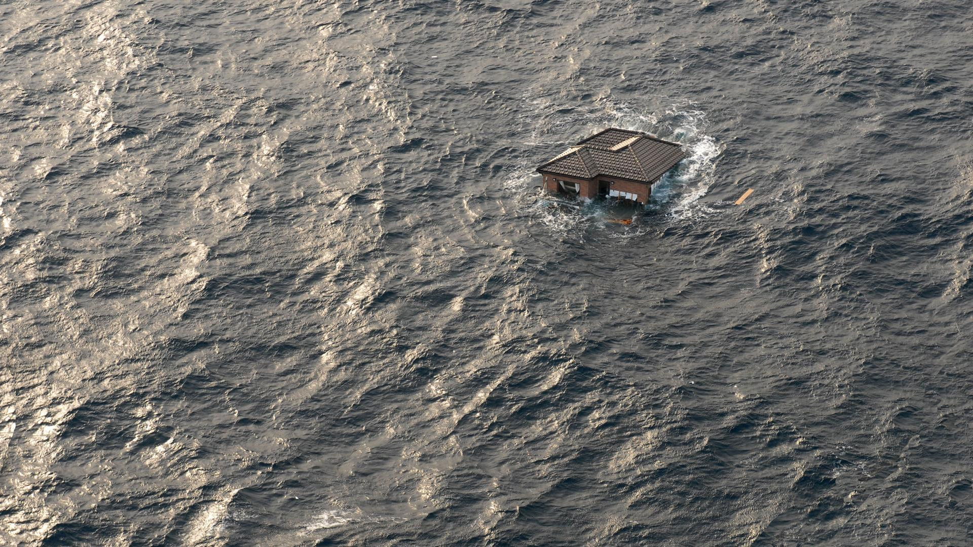 Surviving the Tsunami