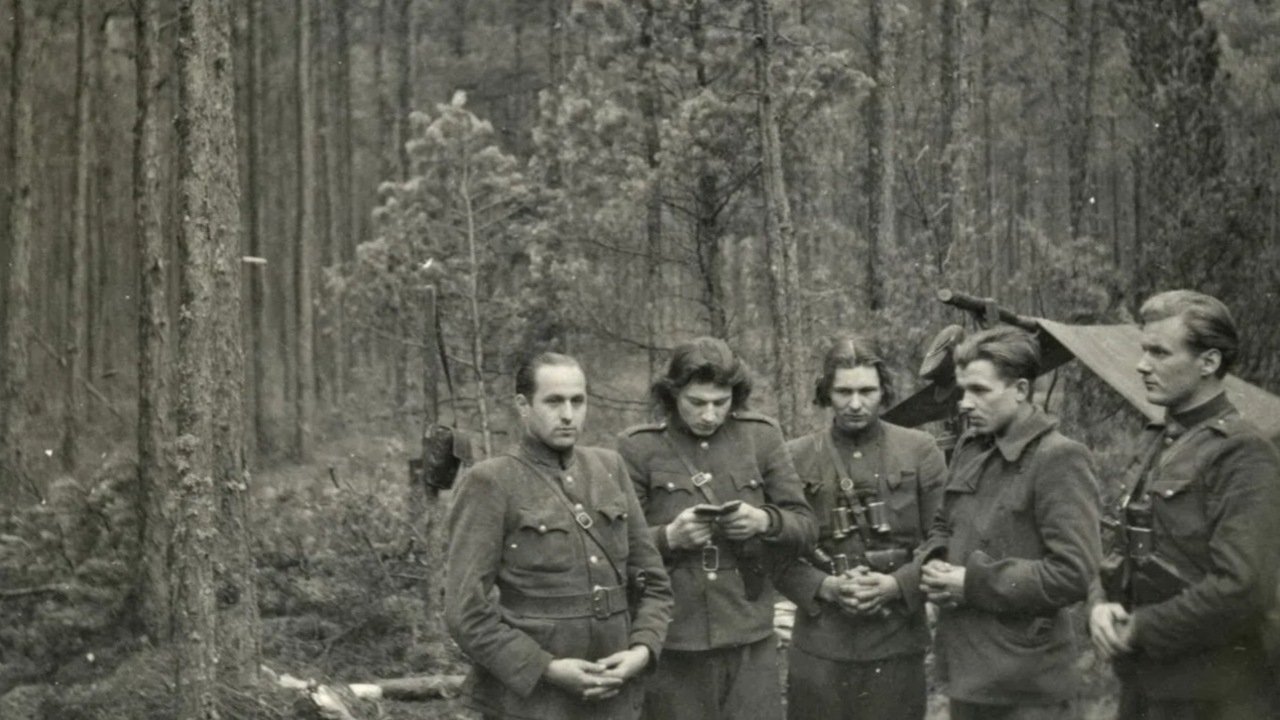 Image 4