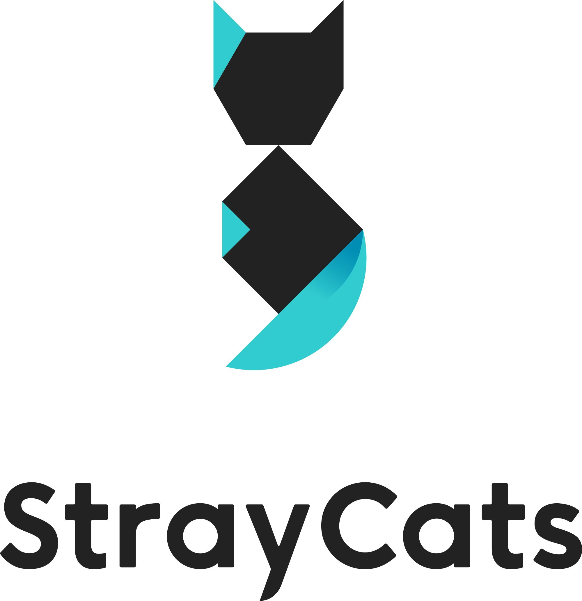 StrayCats