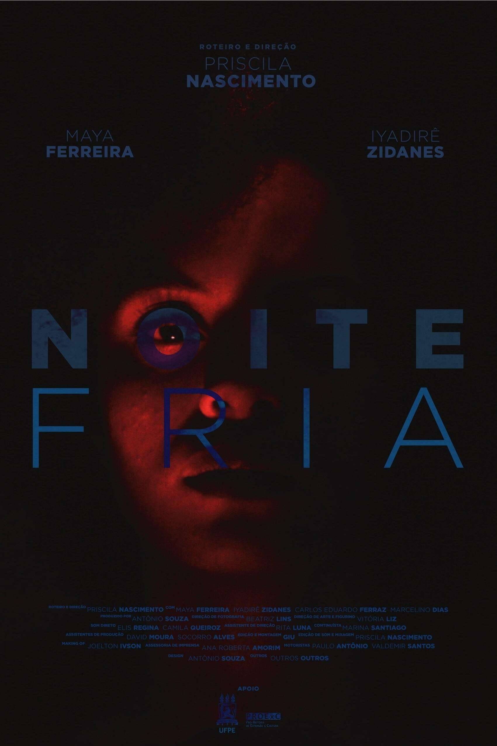 Poster de Noite Fria