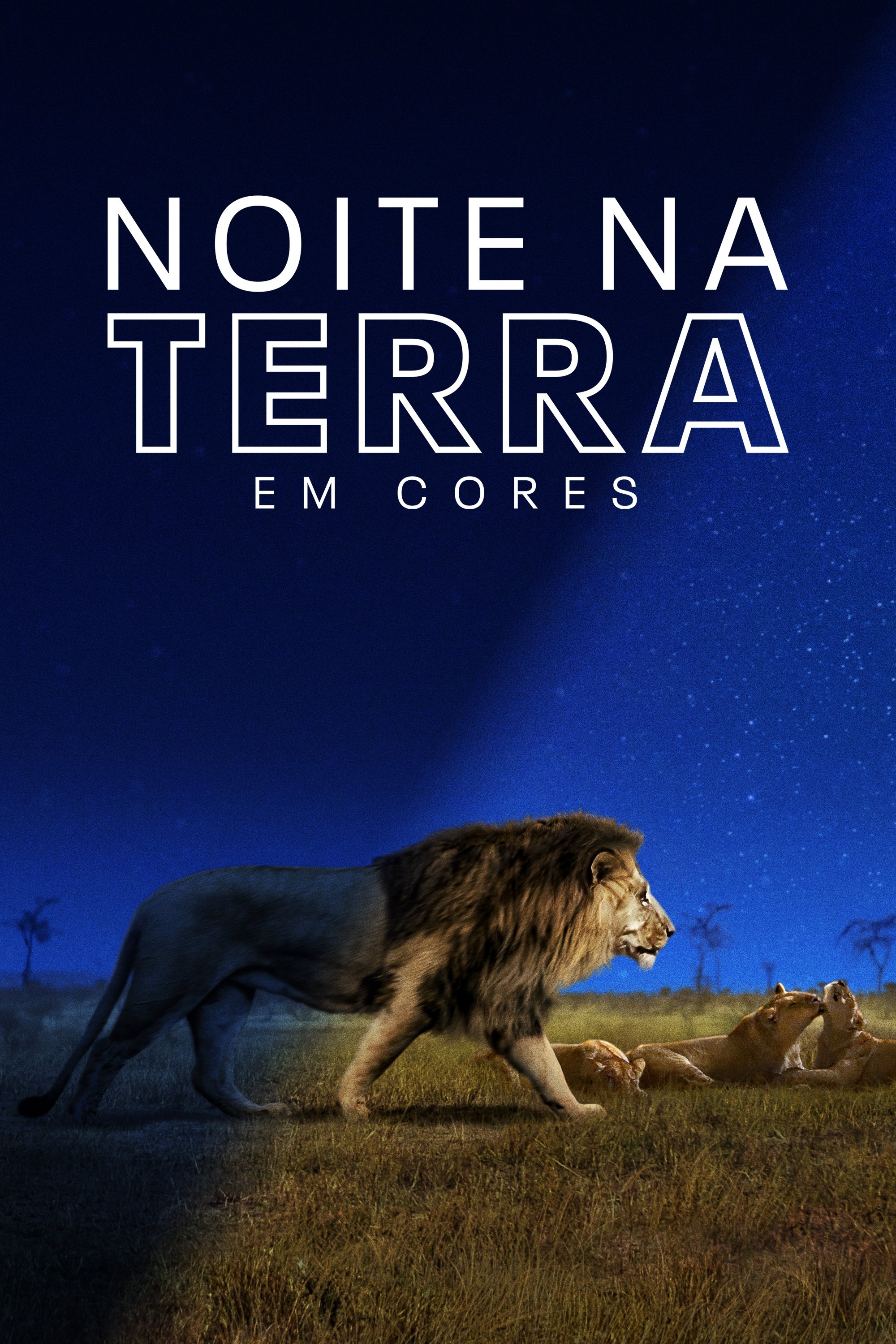 Poster de Noite na Terra em Cores