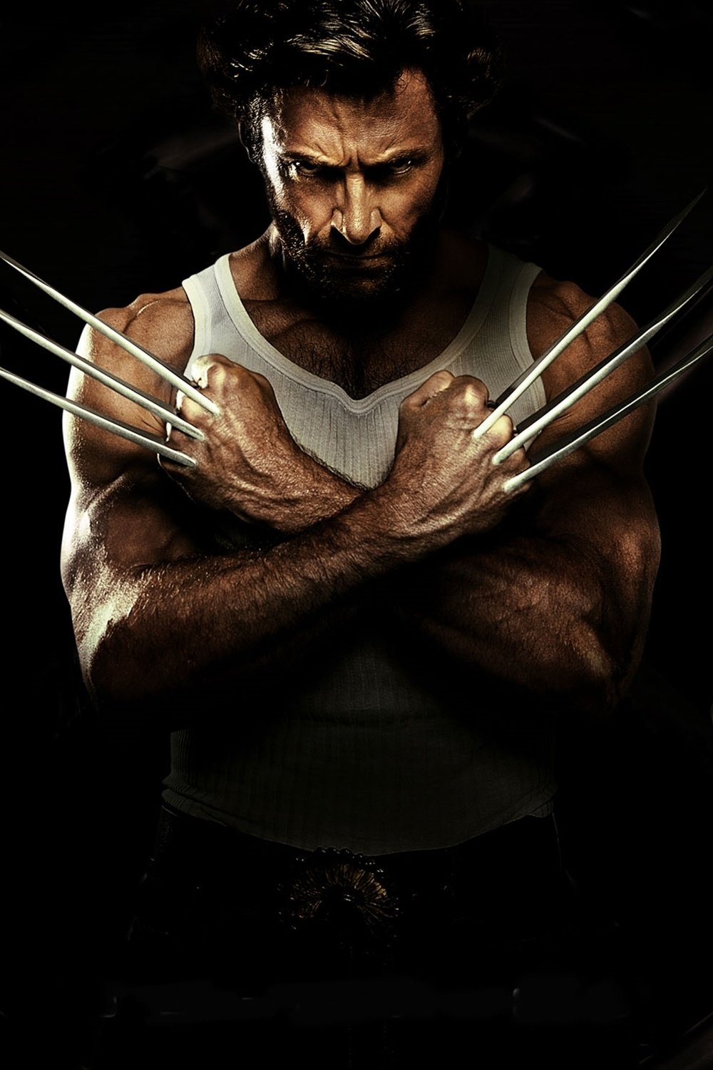 Poster de As Raízes de Wolverine: Uma Conversa com Stan Lee e Len Wein