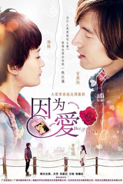 Poster de Because of Love