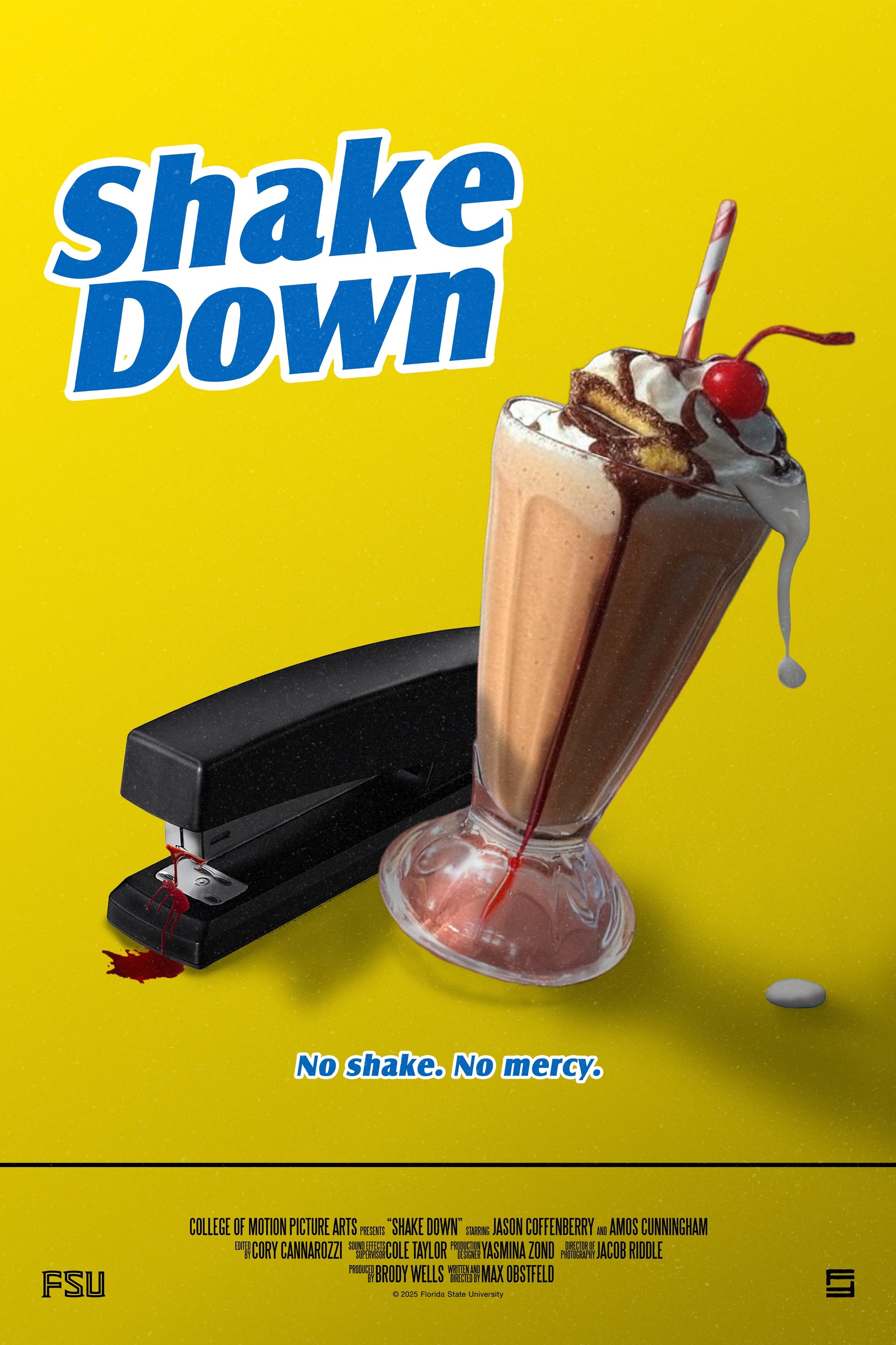 Poster de Shake Down