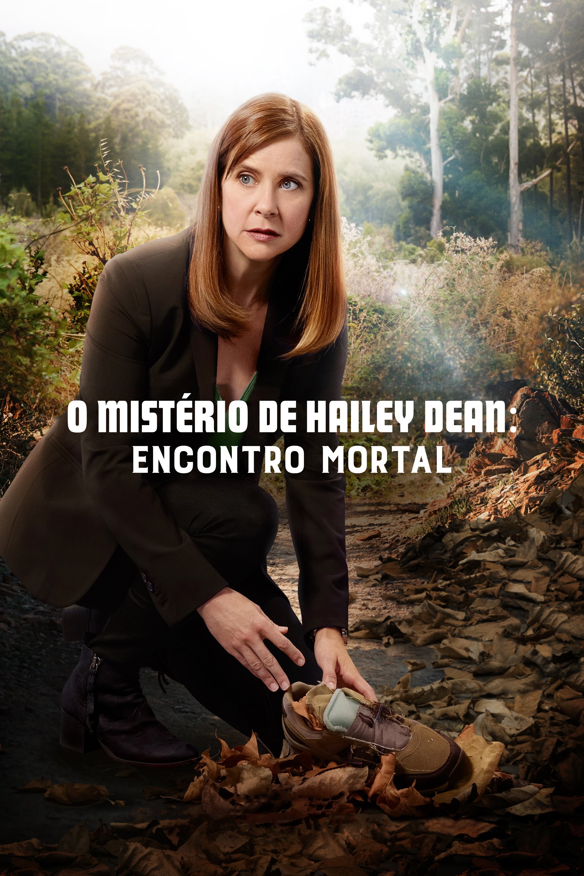Poster de O Mistério de Hailey Dean: Encontro Mortal