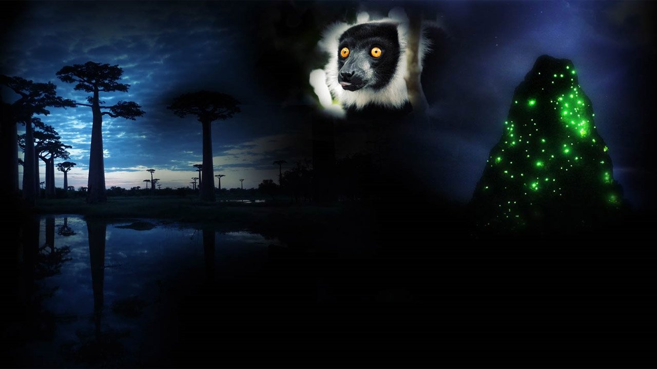 Backdrop image