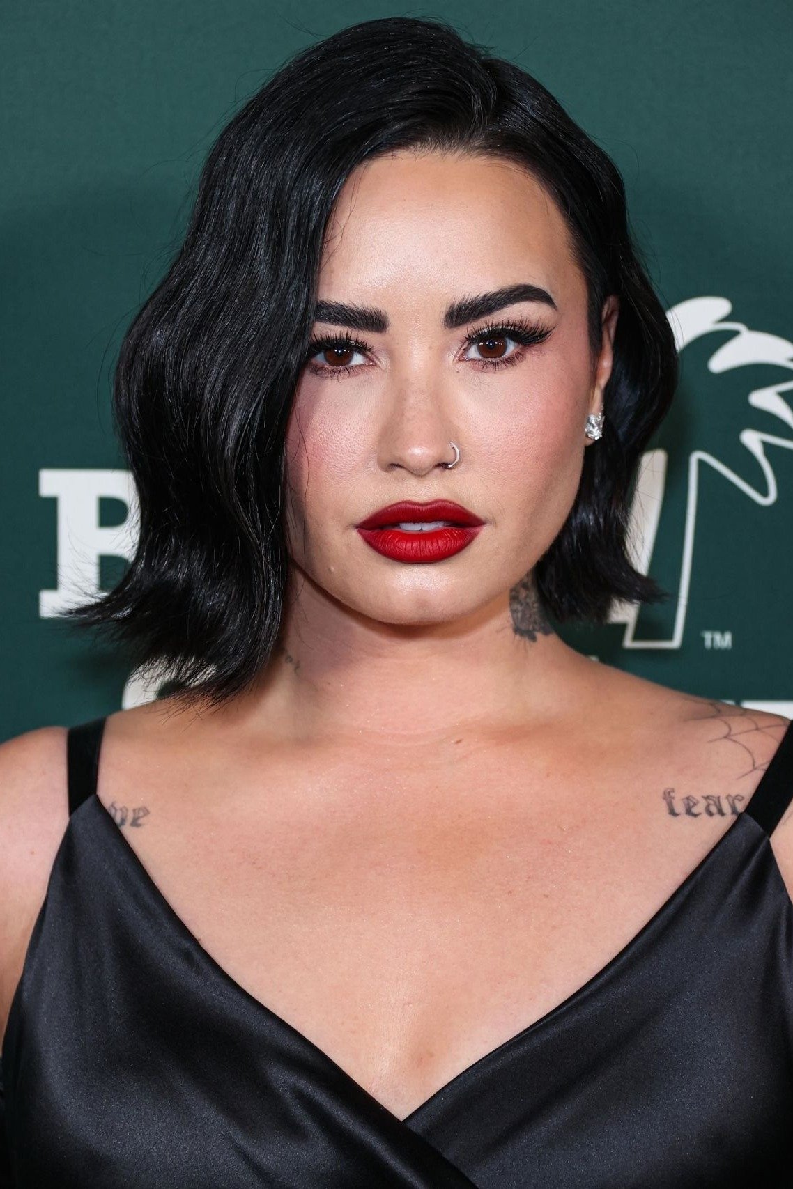 Foto de Demi Lovato