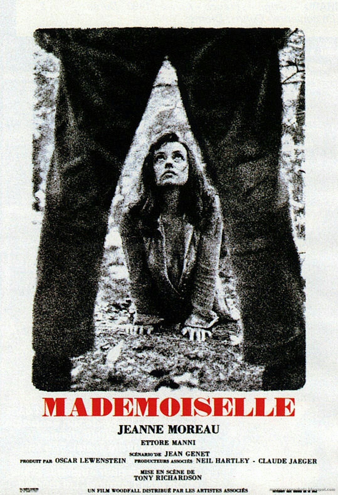 Poster de Chamas de Verão