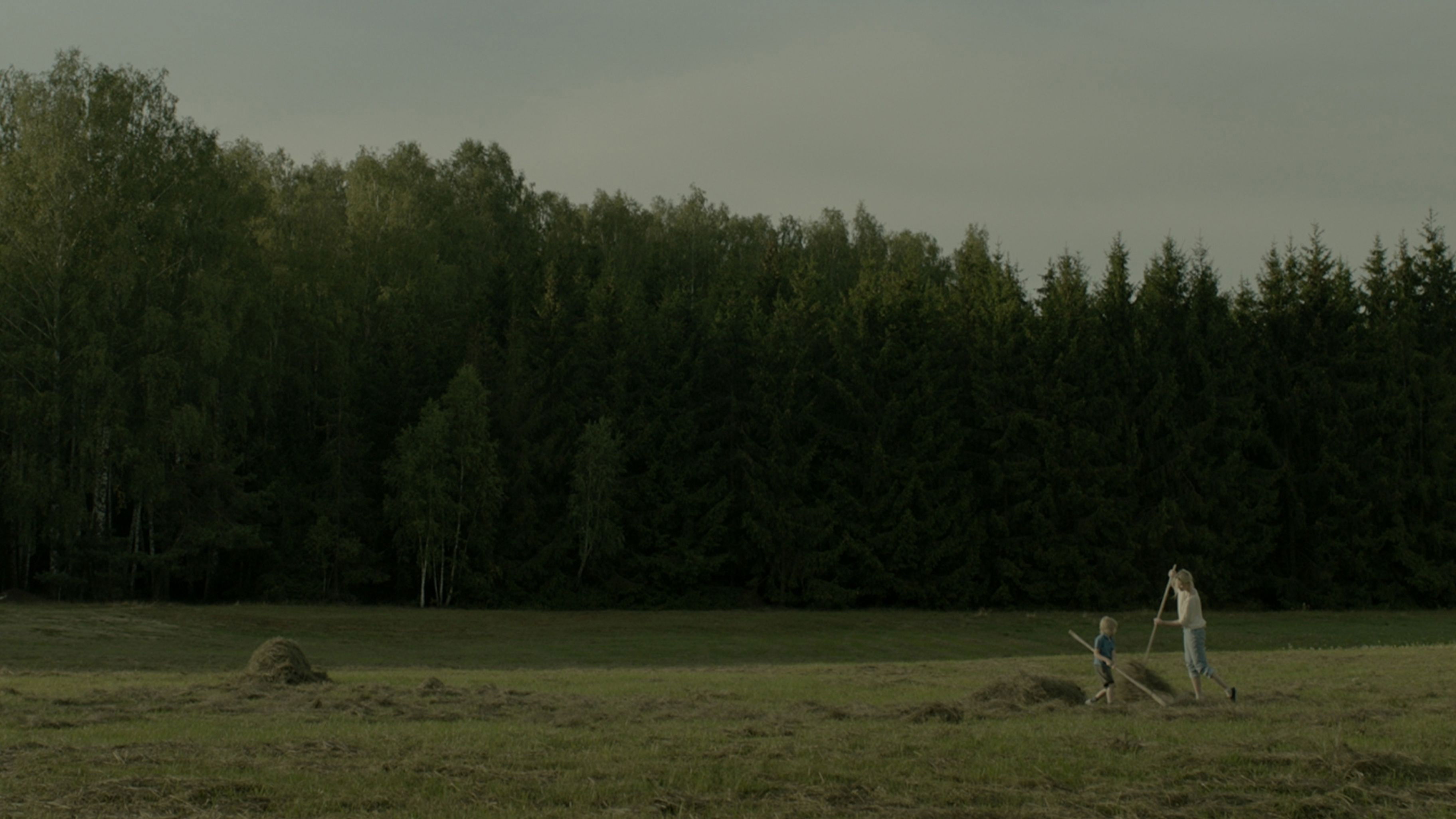 Agnieszka Nowosielska