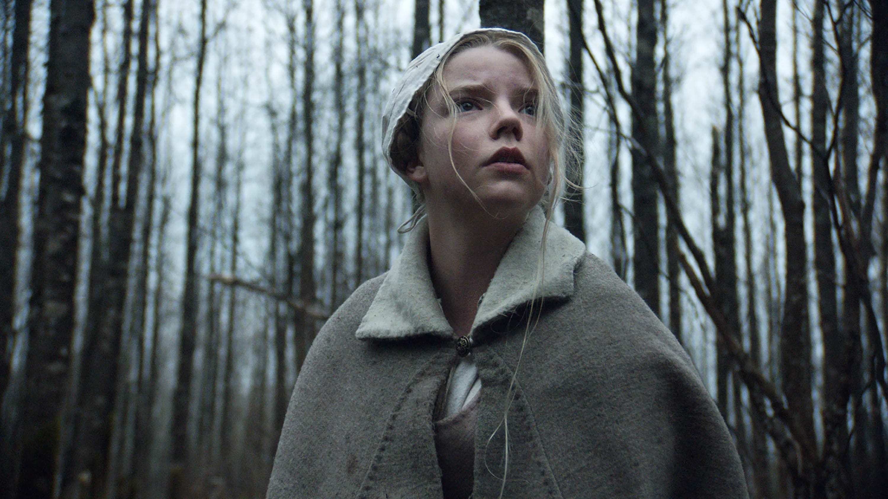 The Witch 2015 123movies