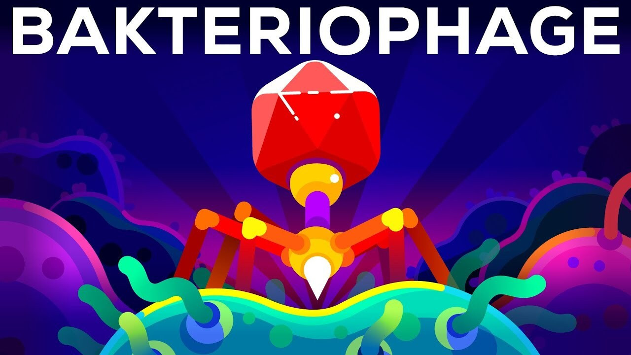 The Deadliest Being on Planet Earth — The Bacteriophage