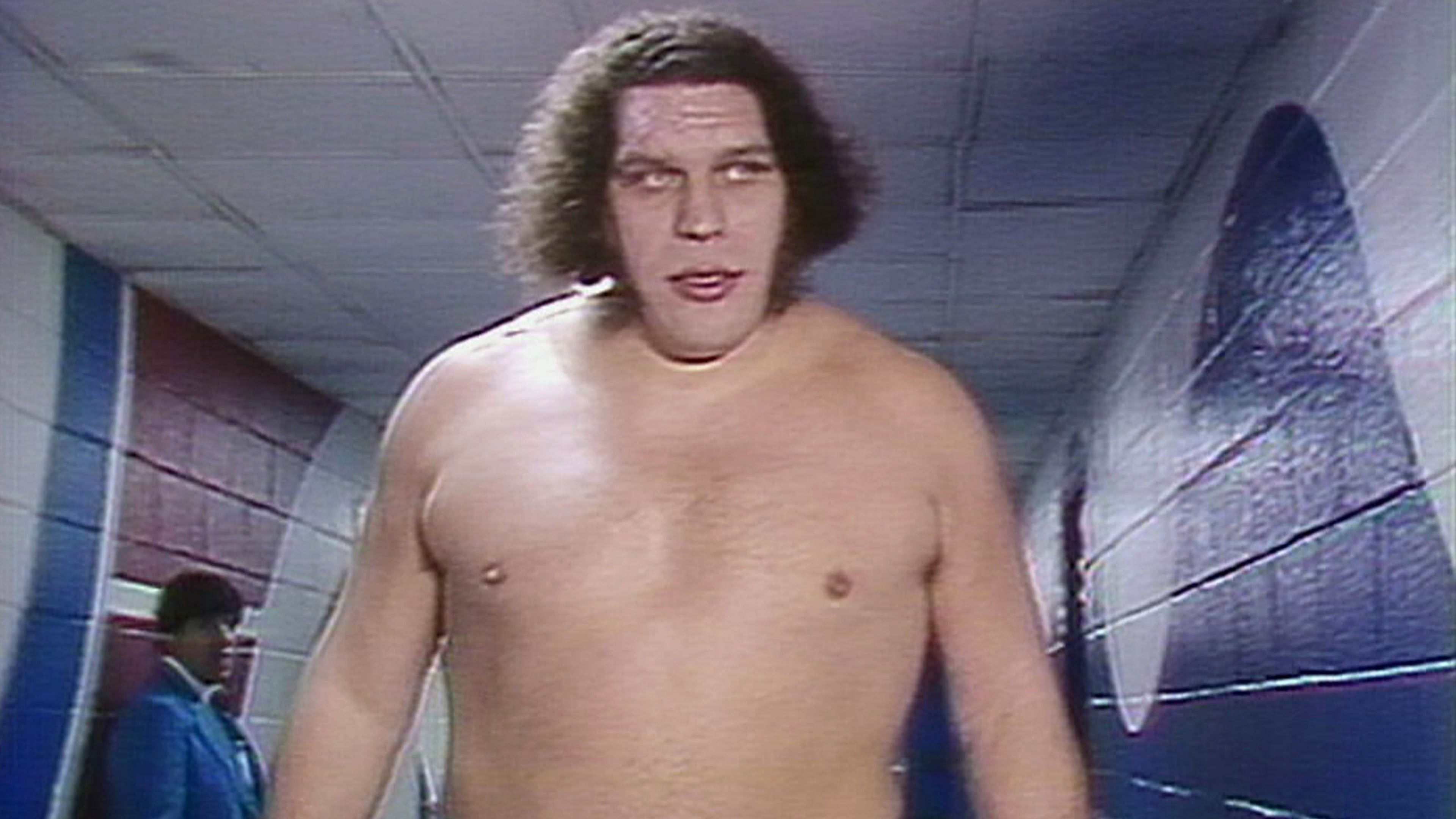 Madison Square Garden - 2/20/1984