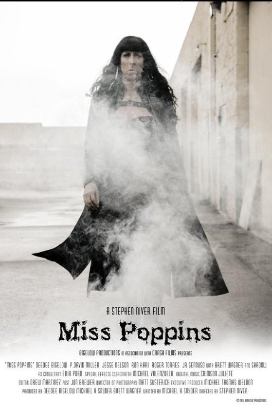 Poster de Miss Poppins